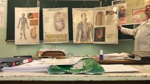 Лимфатическая система