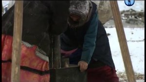 Коми. Путовање кроз Арктик