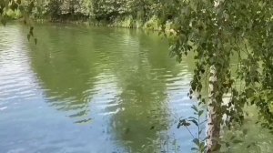 ПЬЯНАЯ ЮЛЬКА. ЮЛЯ СТАР.