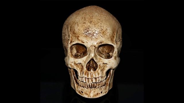 НЕВЕРОЯТНО! | Эфиопская находка человека которому около 4 миллионов лет | Анамский австралопитек