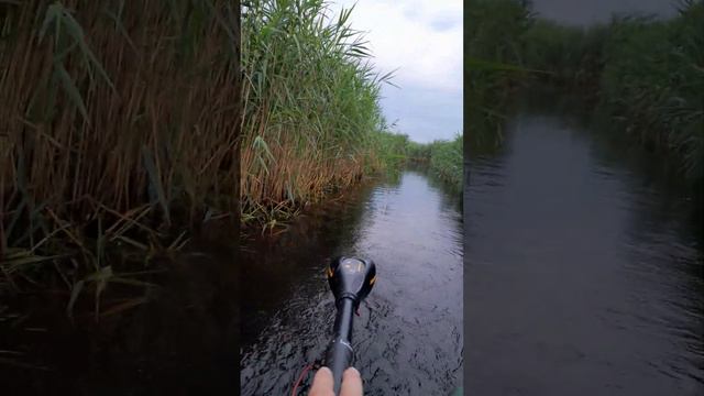 Беларусь.Червоное озеро. Выезд на рыбалку со стороны д. Дьяковичи