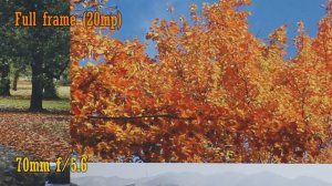 Tamron 70-210mm f/4 Di VC USD lens review with samples (Full-frame & APS-C)