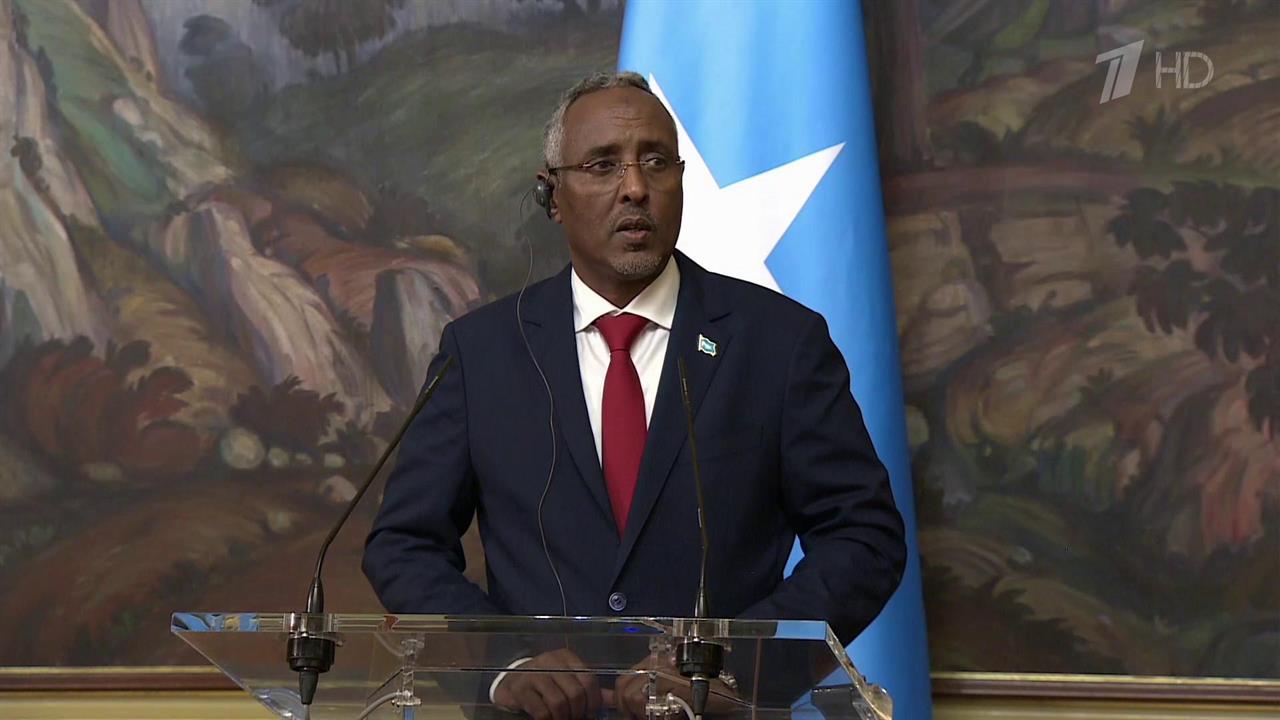 Сергей Лавров и его коллега из Сомали обсудили подготовку к саммиту "Россия - Африка"