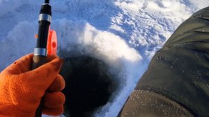 Ловим Сига на подпуска