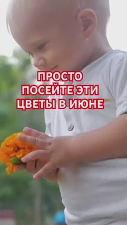 ПРОСТО посадил и забыл! ПОСЕЙТЕ эти цветы в июне