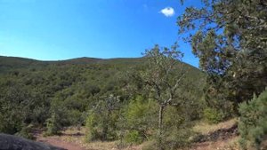 Долина р.Сотера. Грибы и Водопады. Крым 2020