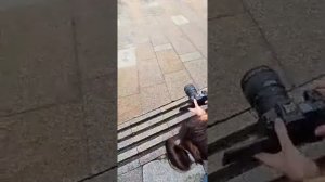 Уличная фотосессия в стиле Life style. Раскрепощение модели. Как выбрать локацию. Фишки на сьемке.