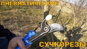 Пневматические сучкорезы