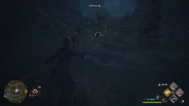 How To Catch a Puffskein Location - Hogwarts Legacy смотреть онлайн