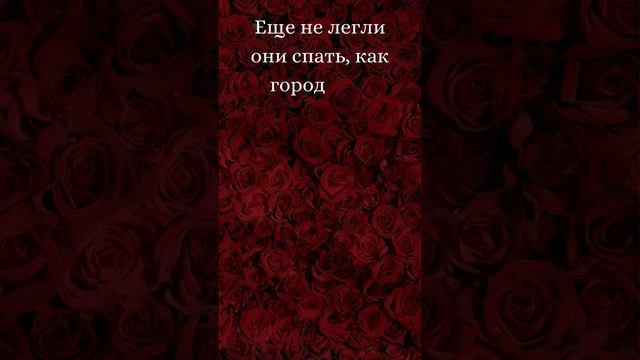 Бытие 19:3-5 (Русская Синодальная Библия) #библия #писание #русскаясинодальнаябиблия #бытие