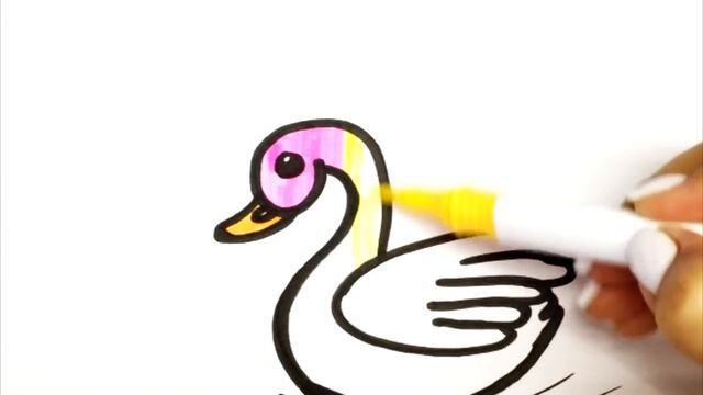 Сурет салу аққу | Как нарисовать лебедя | How to draw swan смотреть онлайн