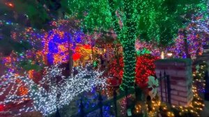 Как Принято Праздновать В Америке Новый Год и Рождество? Американская жизнь