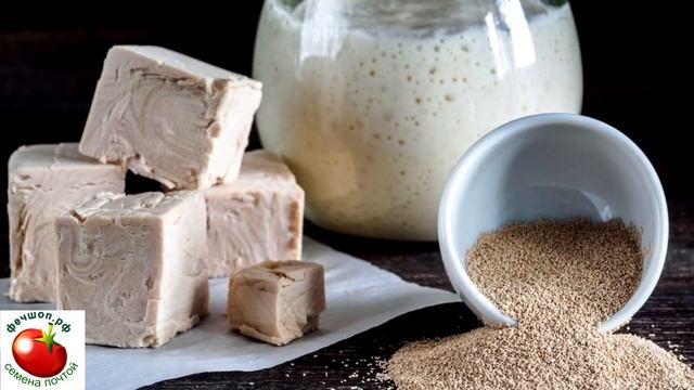 Как самостоятельно приготовить стимуляторы роста для растений и семя