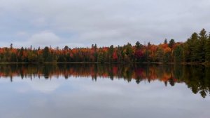 CANADA 4K ?? Мимо проехать невозможно! ОСЕНЬ В КАНАДЕ | путешествие по Канаде