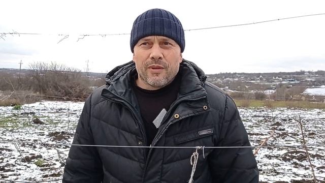 Вкрити виноград на зиму мотоблоком.