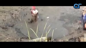 Рыбалка в грязи  Смех и грех