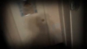 как изгнать демонов из кошек! Экзорцизм