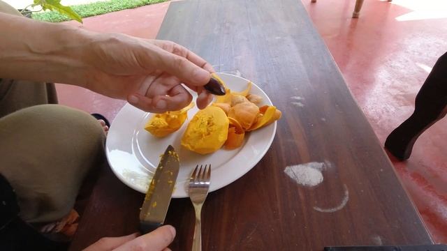 Моя Шри-Ланка 2023 Диковинный Яичный фрукт Eggfruit Канистель, Sri Lanka Trying Outlandish Egg Frui