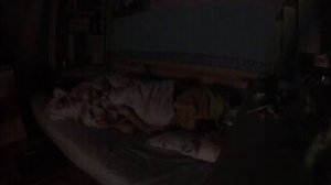 ШОК!!!Смотреть всем,зубная фея существует.Съёмка скрытой камерой.