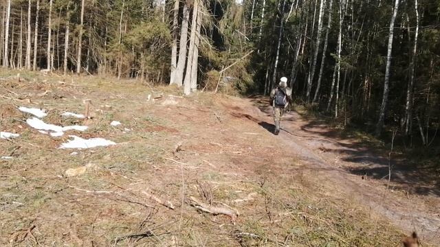 Двойная удача! Нашёл рог оленя и клыки сякача, поиск рогов оленя, zrzuty 2021