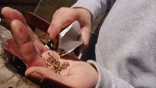 Посев корнеплодов смотреть онлайн