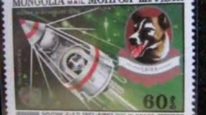 Собаки в космосе