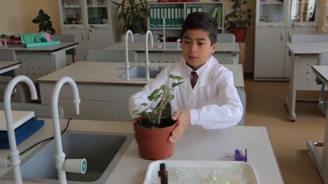 Исследовательский подход в преподавании Биологии