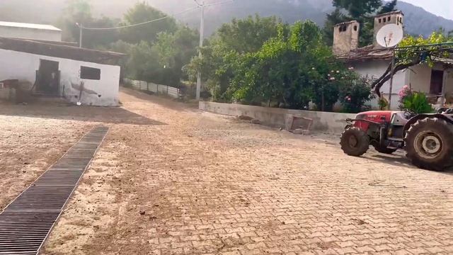 Ферма в Турции. Коровы Козлы Бранны смотреть онлайн