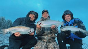 ВПОРОЛИСЬ В ФОРЕЛЬ вместо ЩУКИ. Кто нырнет в ЛЕДЯНУЮ РЕКУ? ДЕНИС ДЕМИДОВЫМ, LIVE REPORTS PAL. 4K