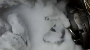 по пухляку на снегоходе палочнике