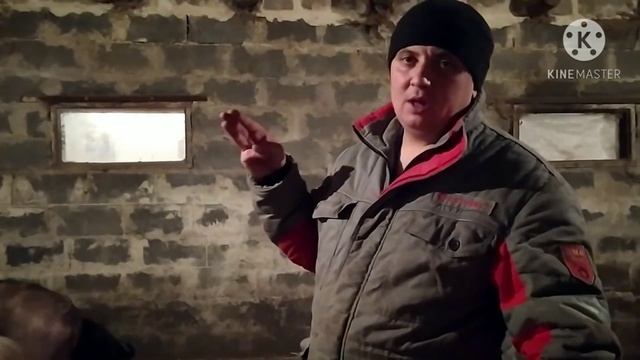 Сдали Всех Свиней Какой Средний Вес? смотреть онлайн