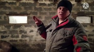 Сдали Всех Свиней Какой Средний Вес?