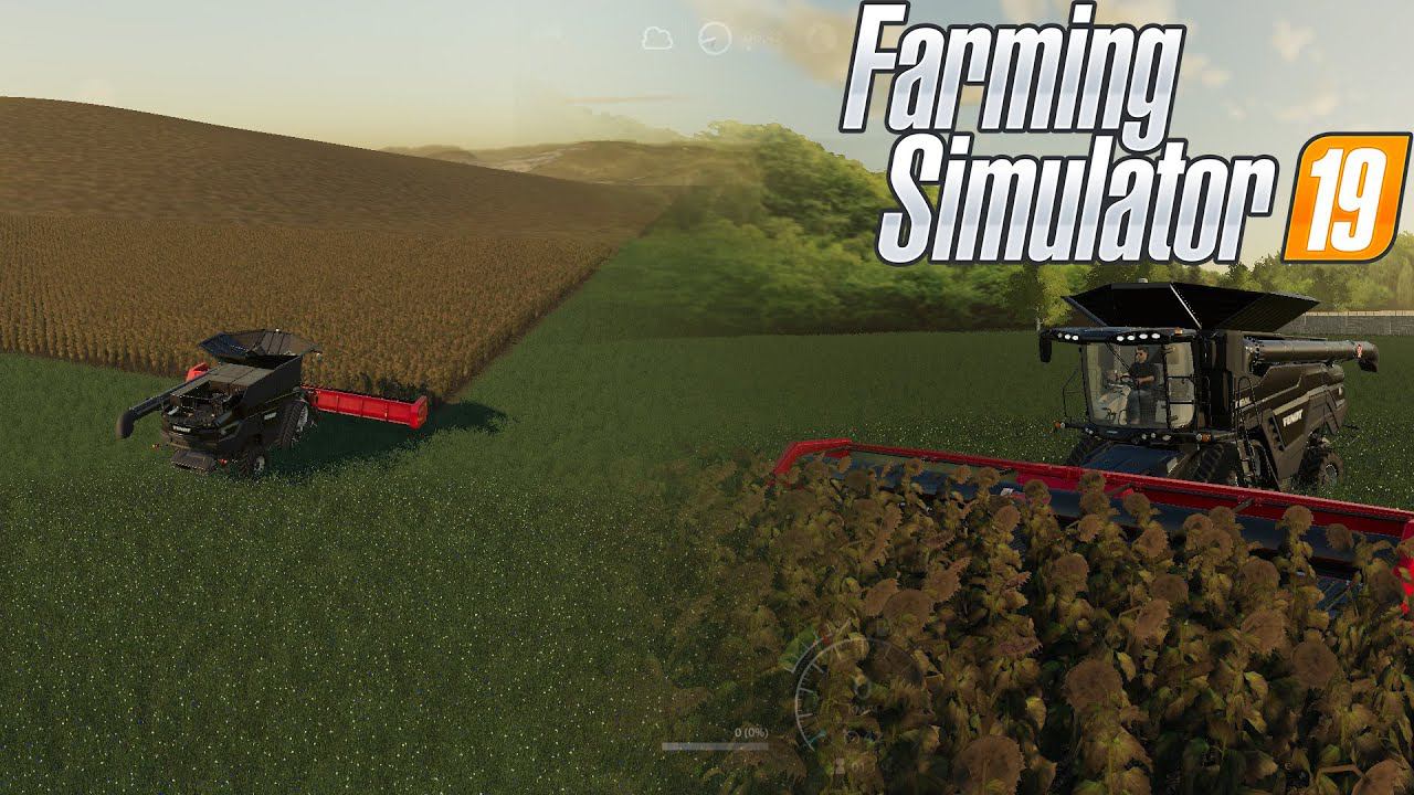 Убираем урожай. Покупаем участок для животных.  Развиваем колхоз "Свапа агро". FS 19 Стрим. Shorts смотреть онлайн