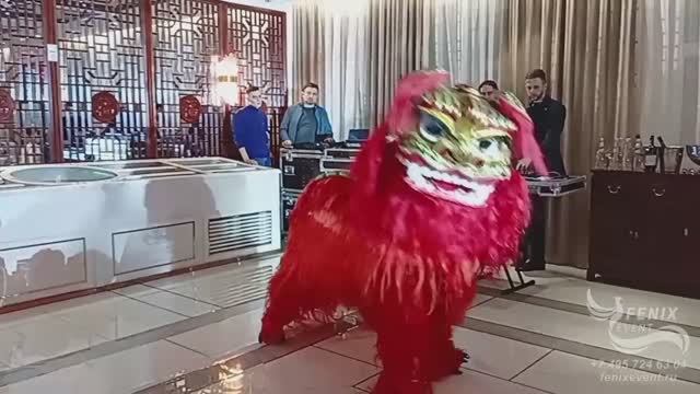 Заказать китайское шоу на праздник и корпоратив в Москве - северный китайский лев на новый год
