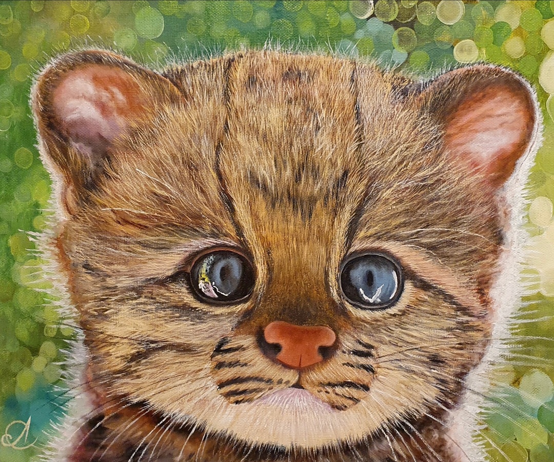 Как нарисовать кошку смотреть онлайн