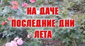 Последние  дни лета. Я на даче.mp4