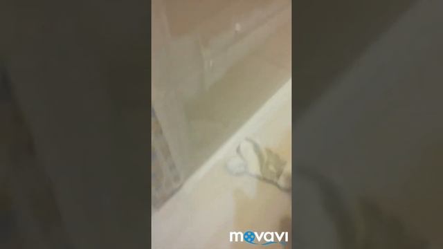 Как затирать швы у плитки