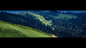 Кларнет Инструментальный Очень красивая музыка кавказа.