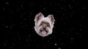 M83 - Do It, Try It (Audio)