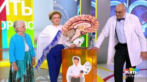 Жить здорово! Выпуск от 13.09.2018