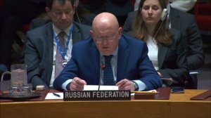 Statement by Amb. Vassily Nebenzia at UNSC before the vote on Russian-Chinese amendment