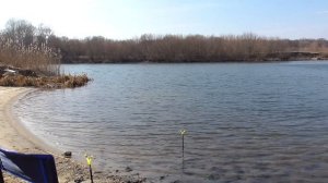 Ловля весной на фидер 2020. Поклевки на фидер крупным планом. Прикормка с мотылём и гаммарусом.