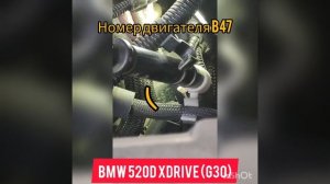 #bmwengine #b47 #enginenumber #g30#31 #BMW520d Номер двигателя b47, а/м BMW 520d xdrive (2016-2023)