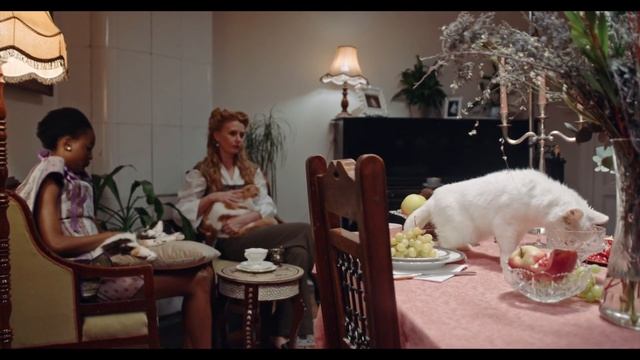 Котам нельзя давать молоко? смотреть онлайн