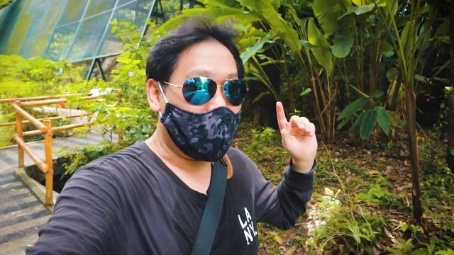 Jurong Bird Park - Royal Ramble and African Treetops смотреть онлайн