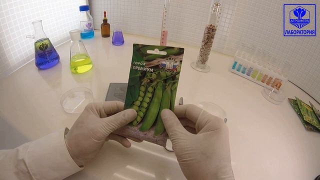 Горох Премиум. СеДеК смотреть онлайн