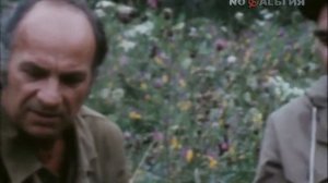 В мире Животных с Николаем Дроздовым 1980