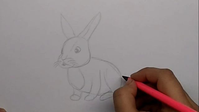 Как нарисовать зайца