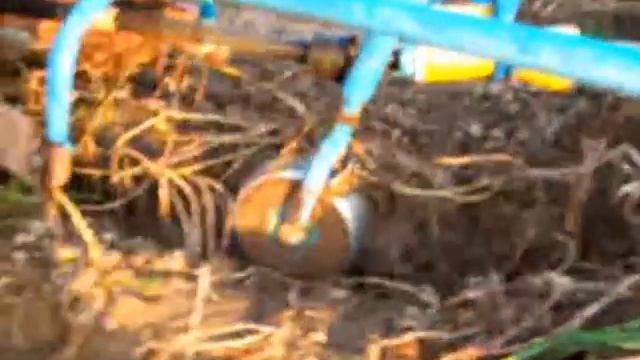 трактор копает картофель сам смотреть онлайн