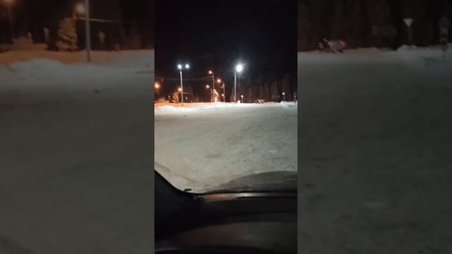 Дали дуба в Архангельске -35, едем обратно
